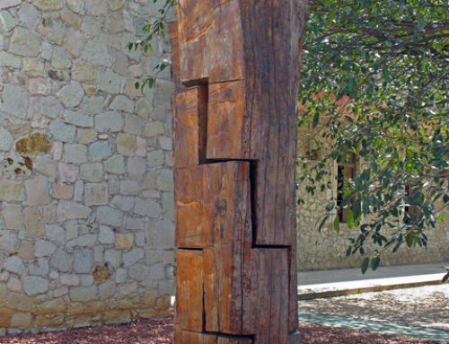 Jardin Etnobotanico – Oaxaca – Mexico